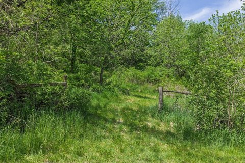 Recreational Hunting Land Parcel