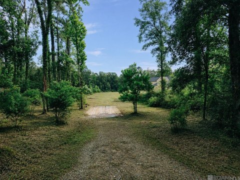 LAND - Denham Springs, LA