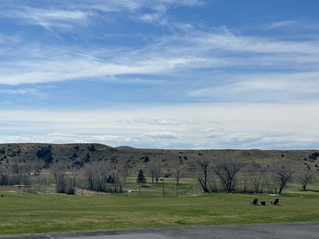 Picture 8