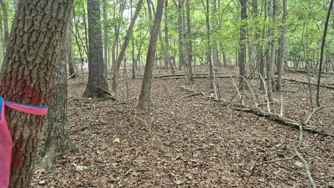 Vacant Lot, Ellijay, GA