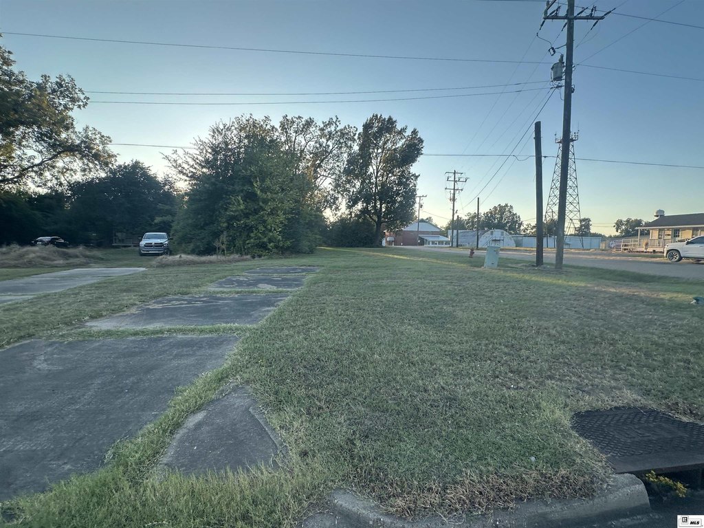 Picture 5