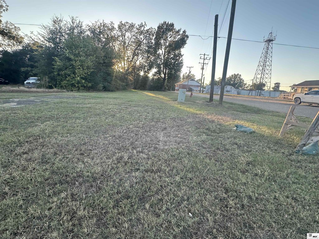 Picture 6