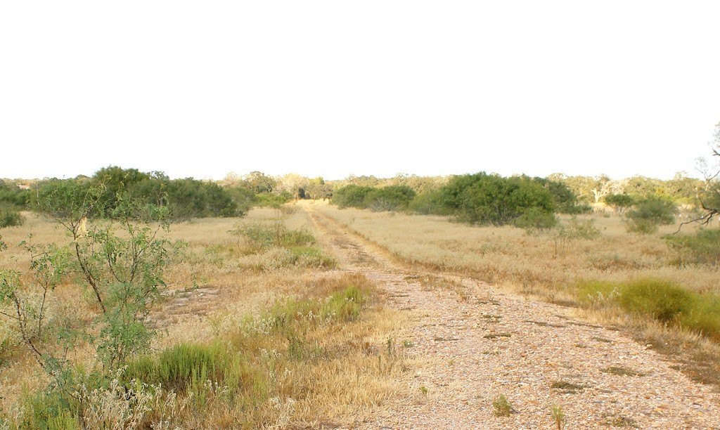 Picture 3