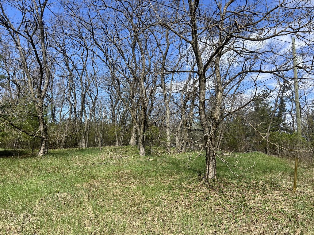 Picture 12