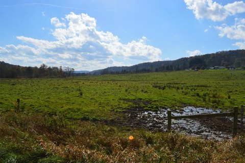 Shinglehouse, PA Land Parcel
