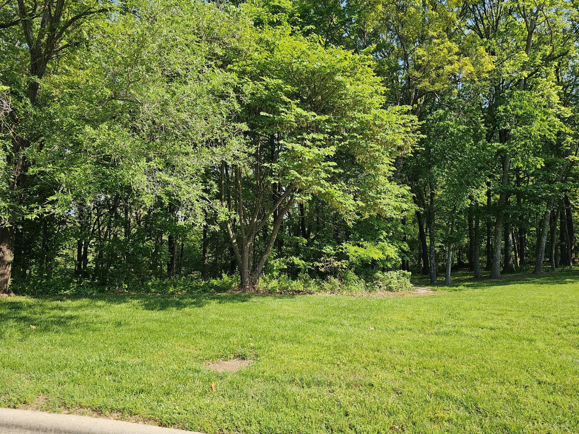 Residential Land in Fox Haven