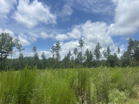 Residential Land in Sheridan, AR