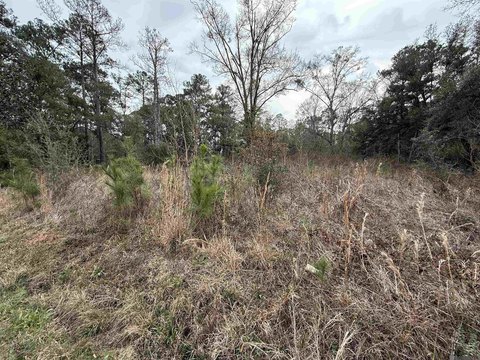 Lacombe Land Ready For Homesite