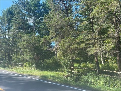 Land, Freeville, NY