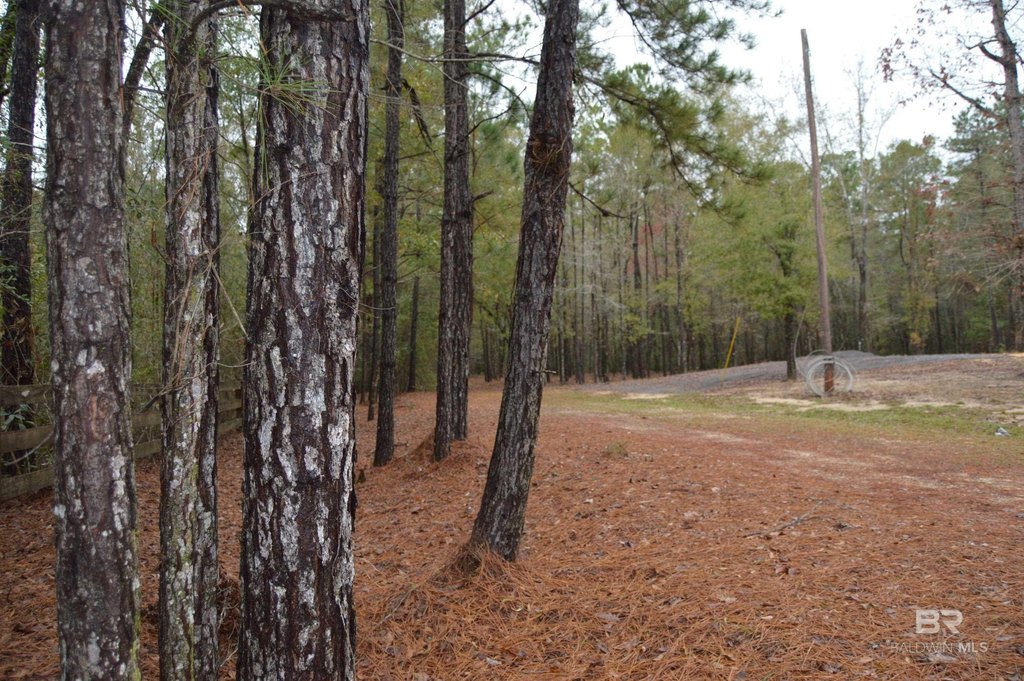 Picture 16