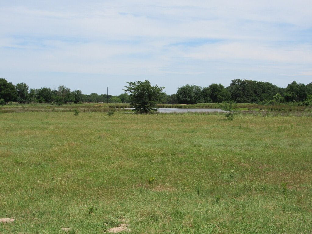 Picture 32