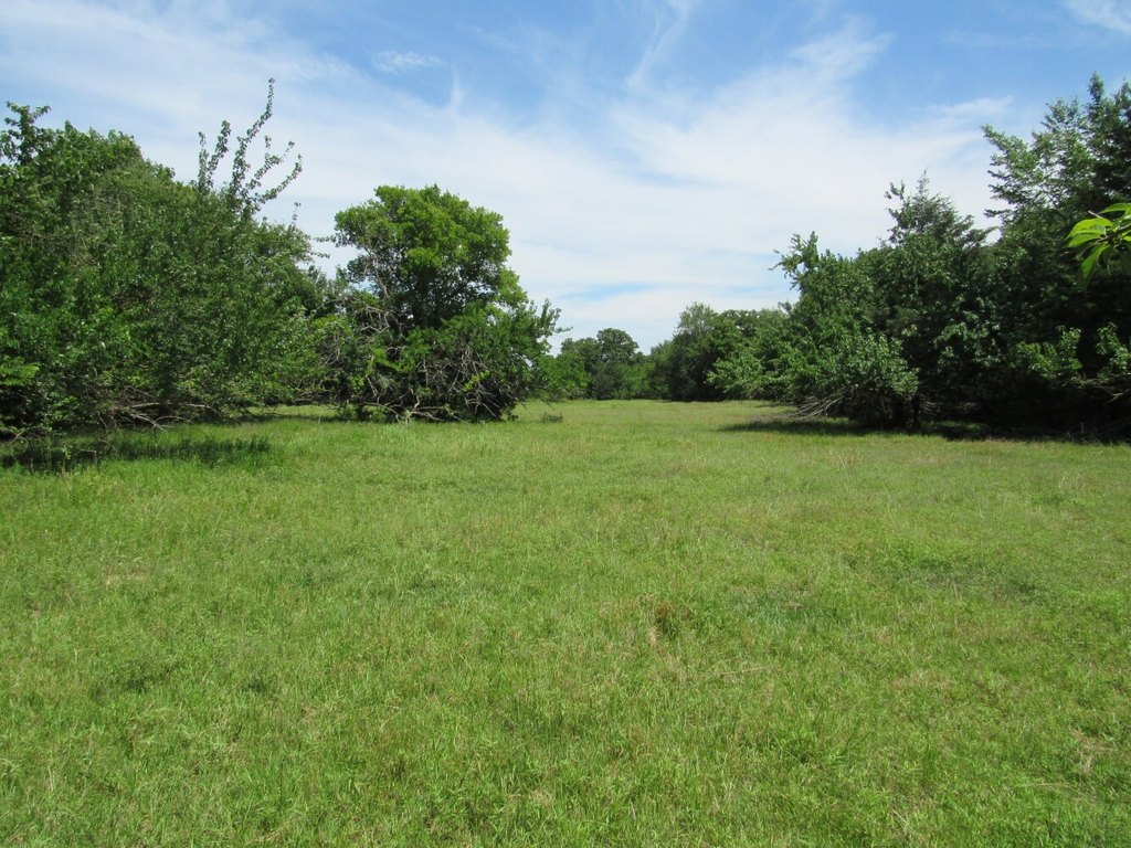 Picture 13