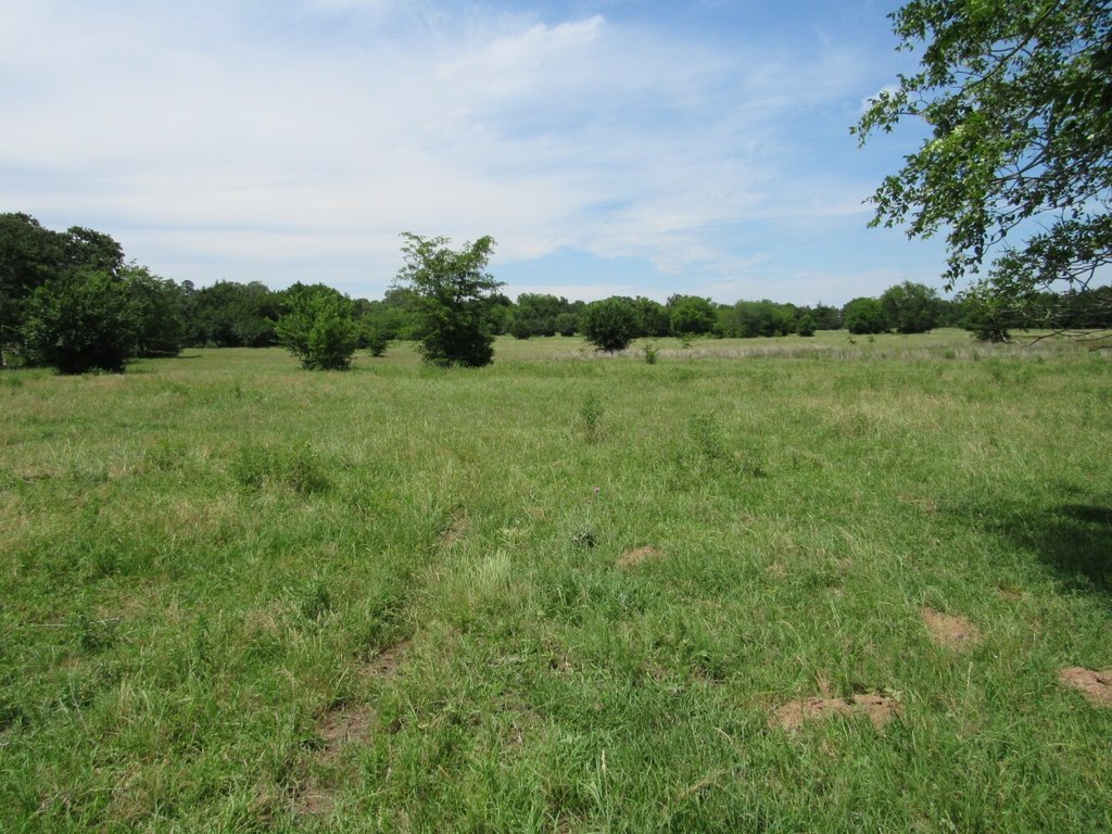 Picture 8