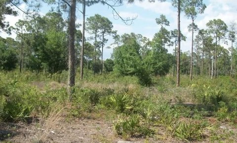 Land, CLEWISTON, FL