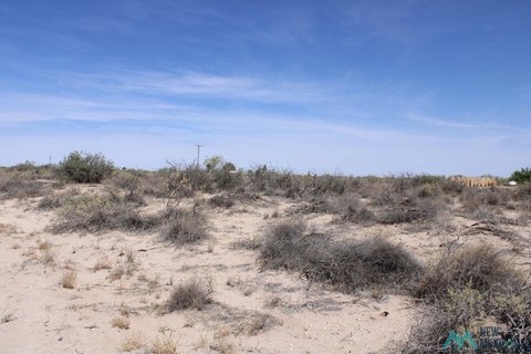 Land, Deming, NM