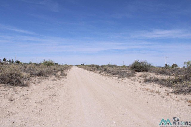 Picture 9