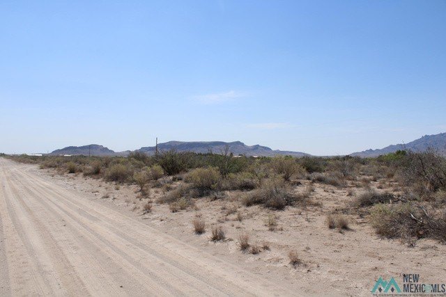 Picture 5