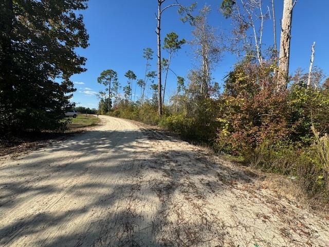 Kinard, FL Waterfront Land