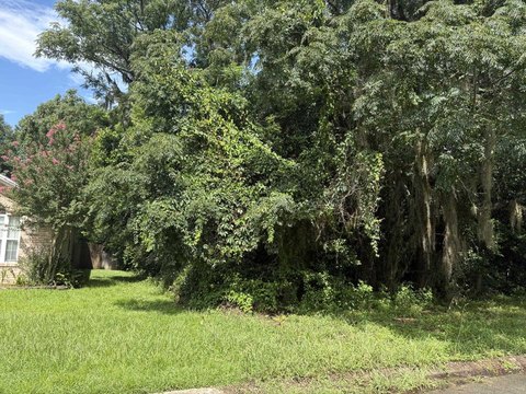 LAND - Tallahassee, FL