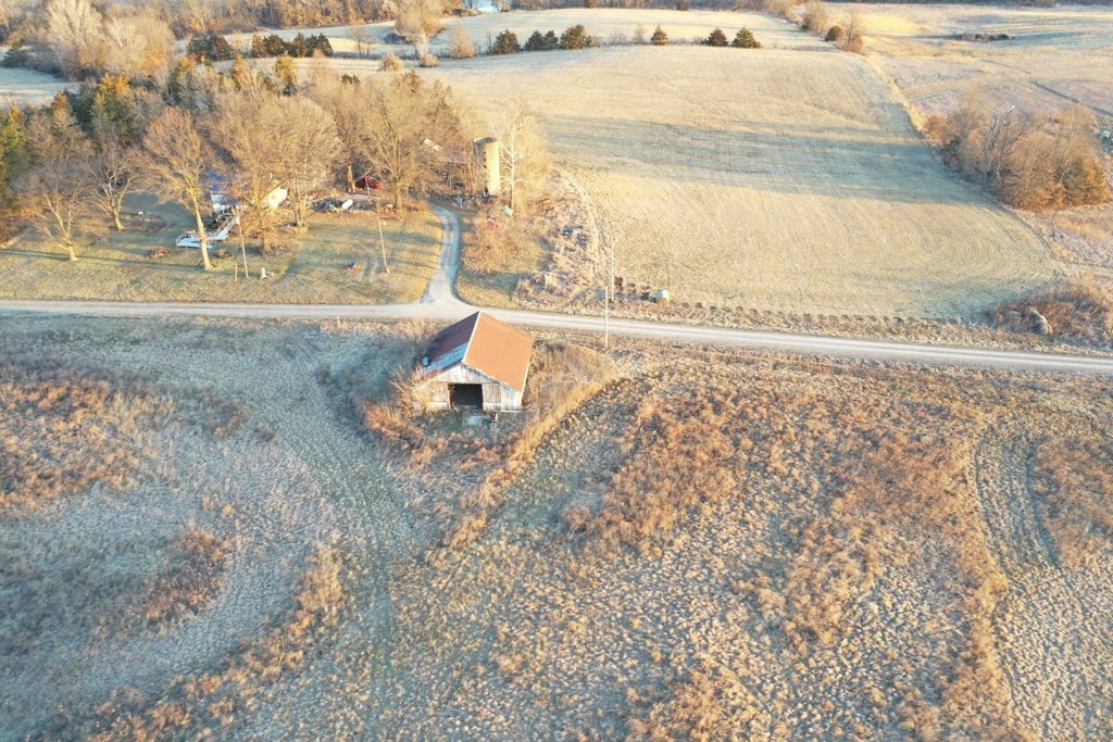 Picture 19