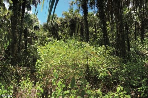 LAND - Naples, FL