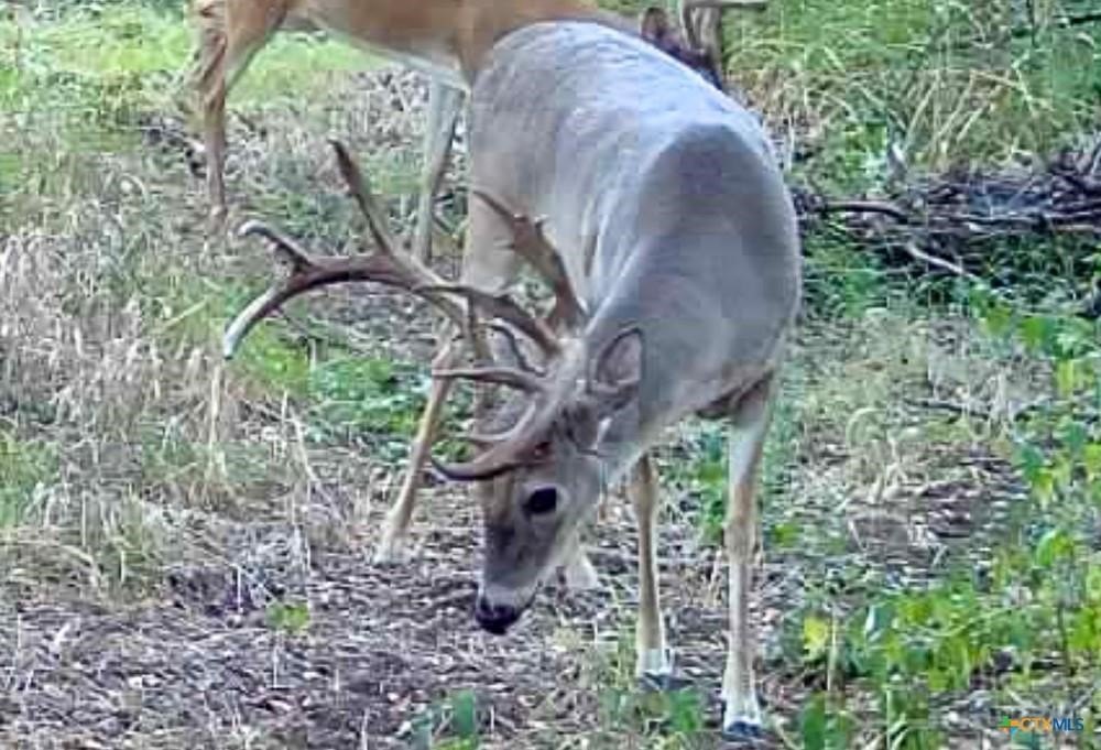 Picture 30