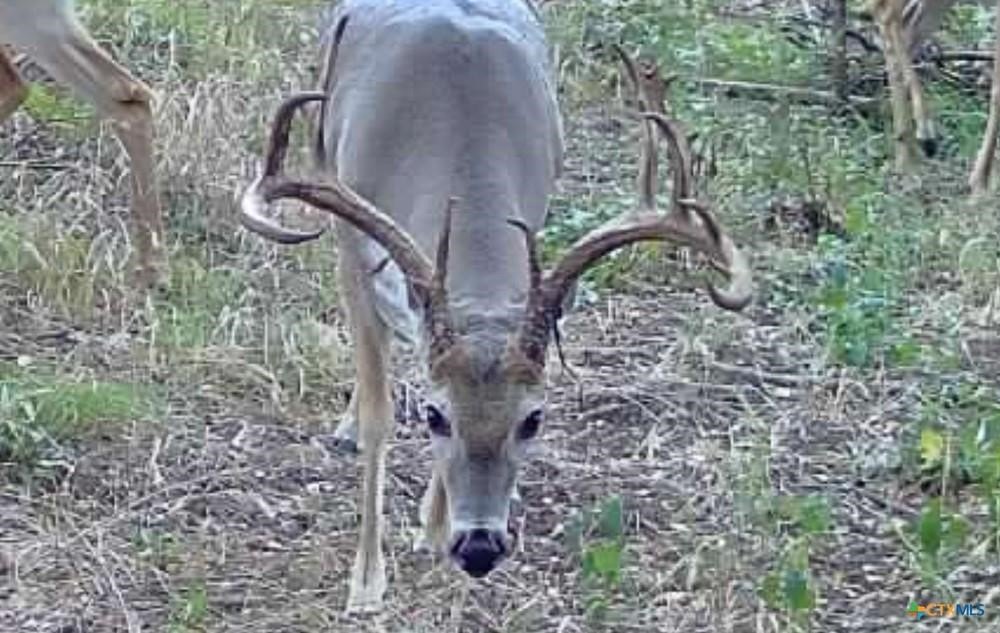 Picture 31