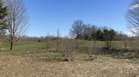 LAND - New Buffalo, MI