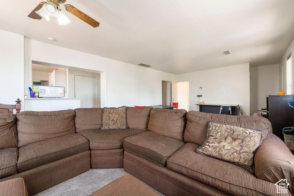 Picture 40