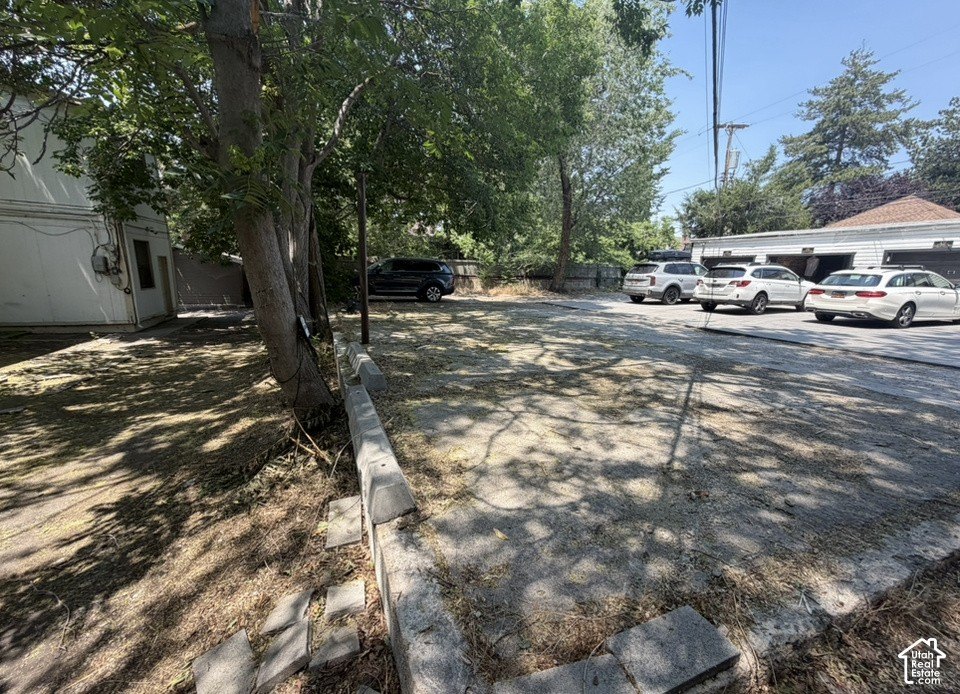Picture 12