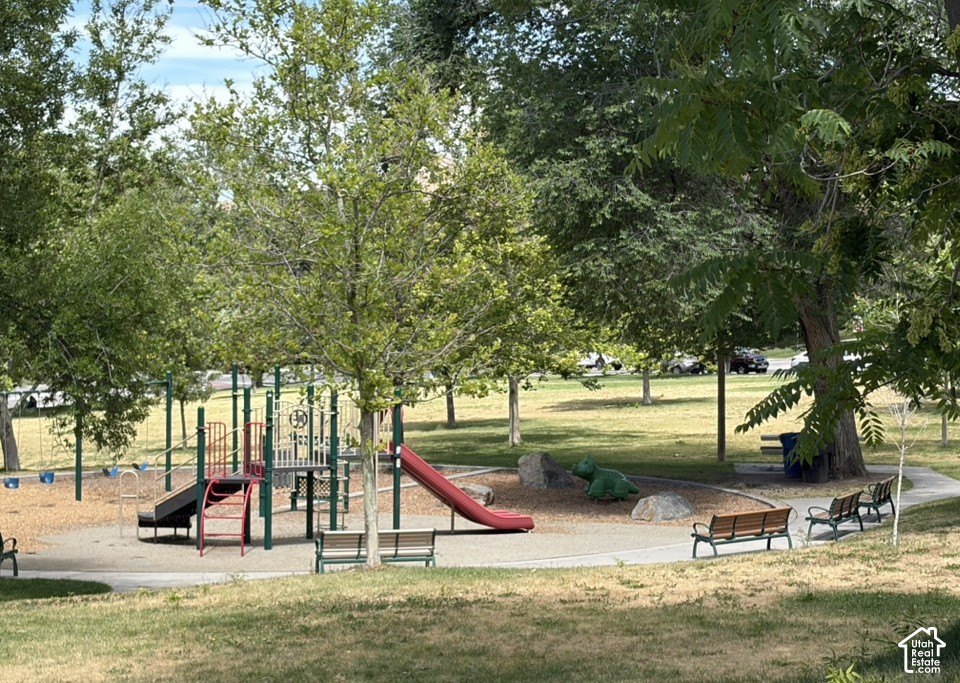 Picture 21