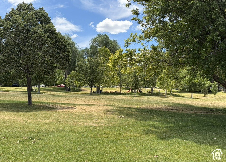 Picture 22