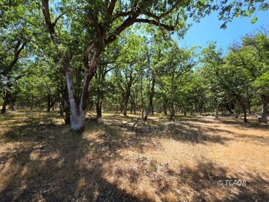 Hayfork Land with Mountain Views