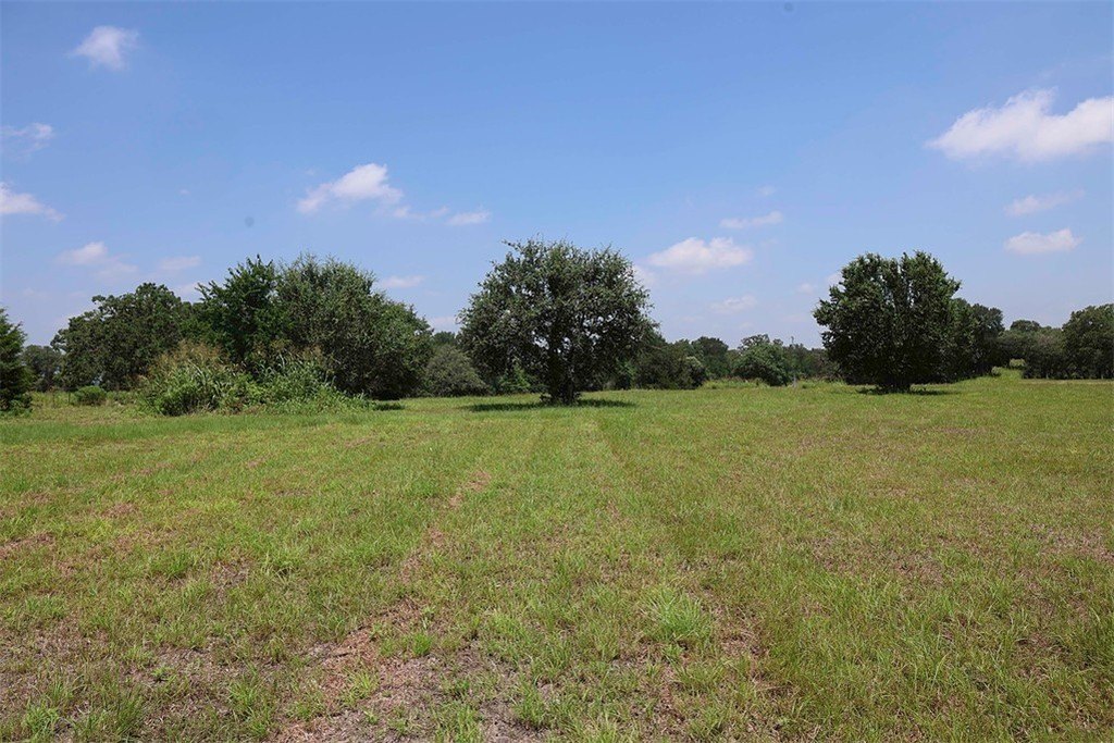 Picture 20