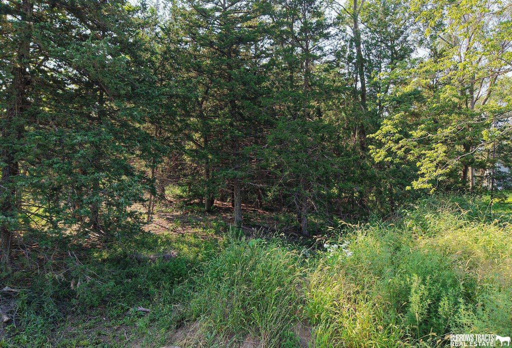 Picture 8