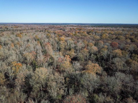Arkadelphia Land with Hunting Potential