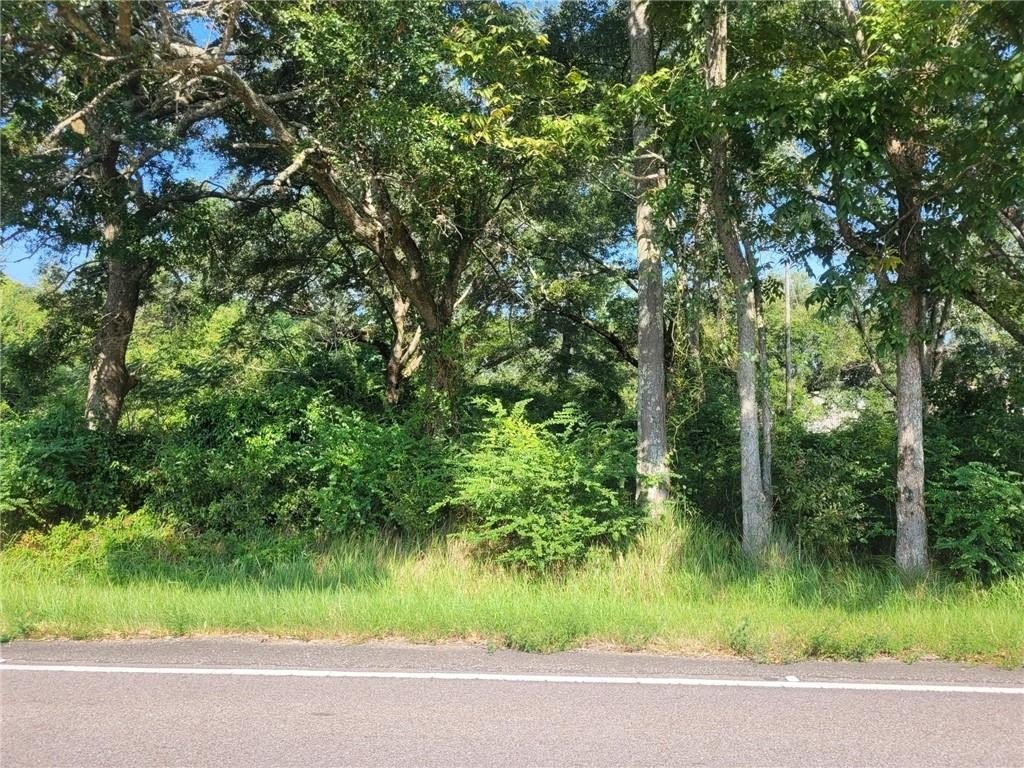Residential Lot in Mobile, AL