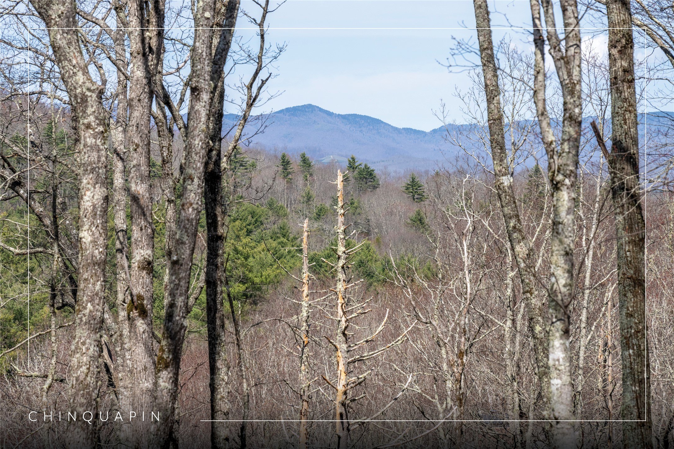 Land in Chinquapin, Glenville, NC