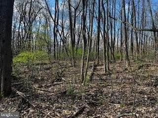 Unrestricted Mountain Land For Sale