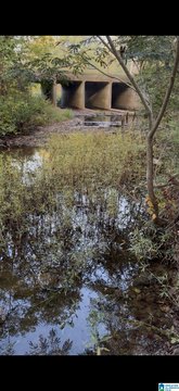 Rural Undeveloped Land Tract