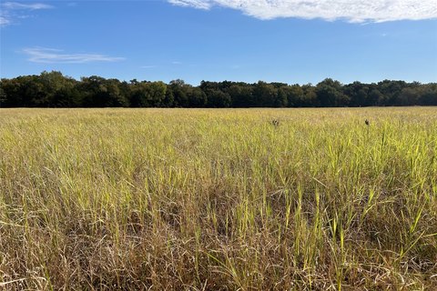 Land, Callisburg, TX