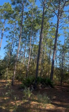 Land, OCALA, FL