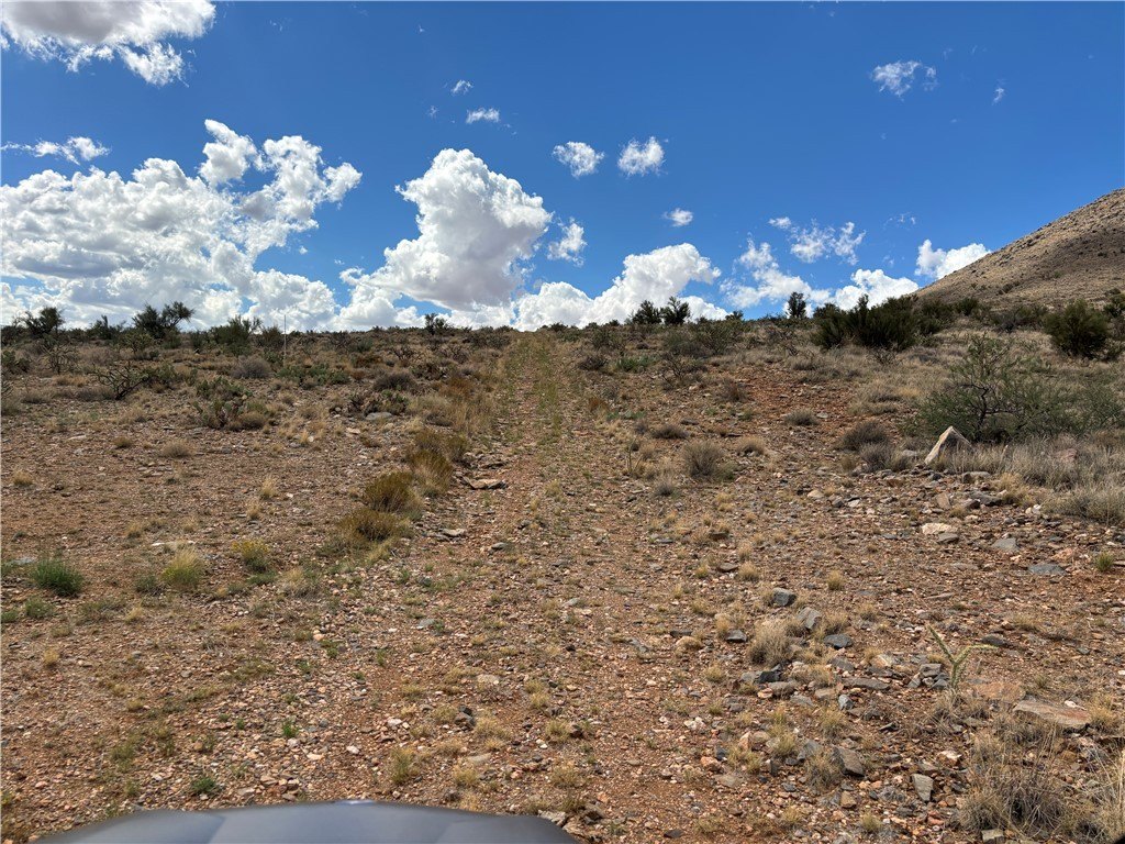 Picture 2