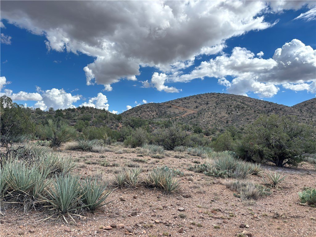 Picture 22