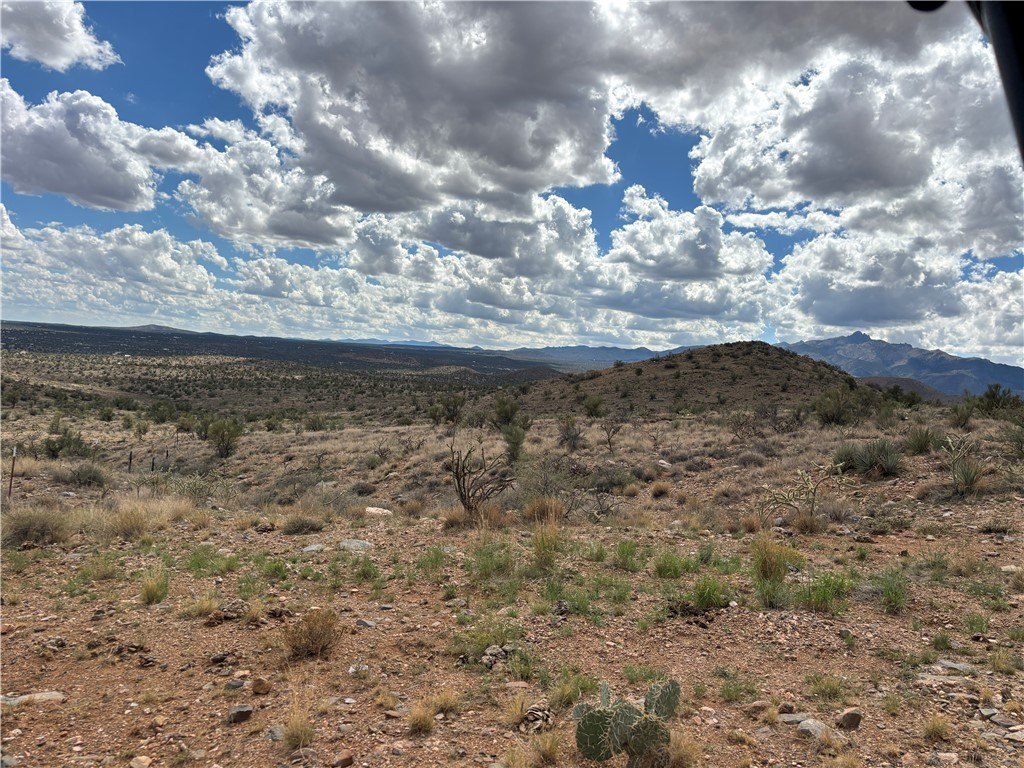 Picture 6