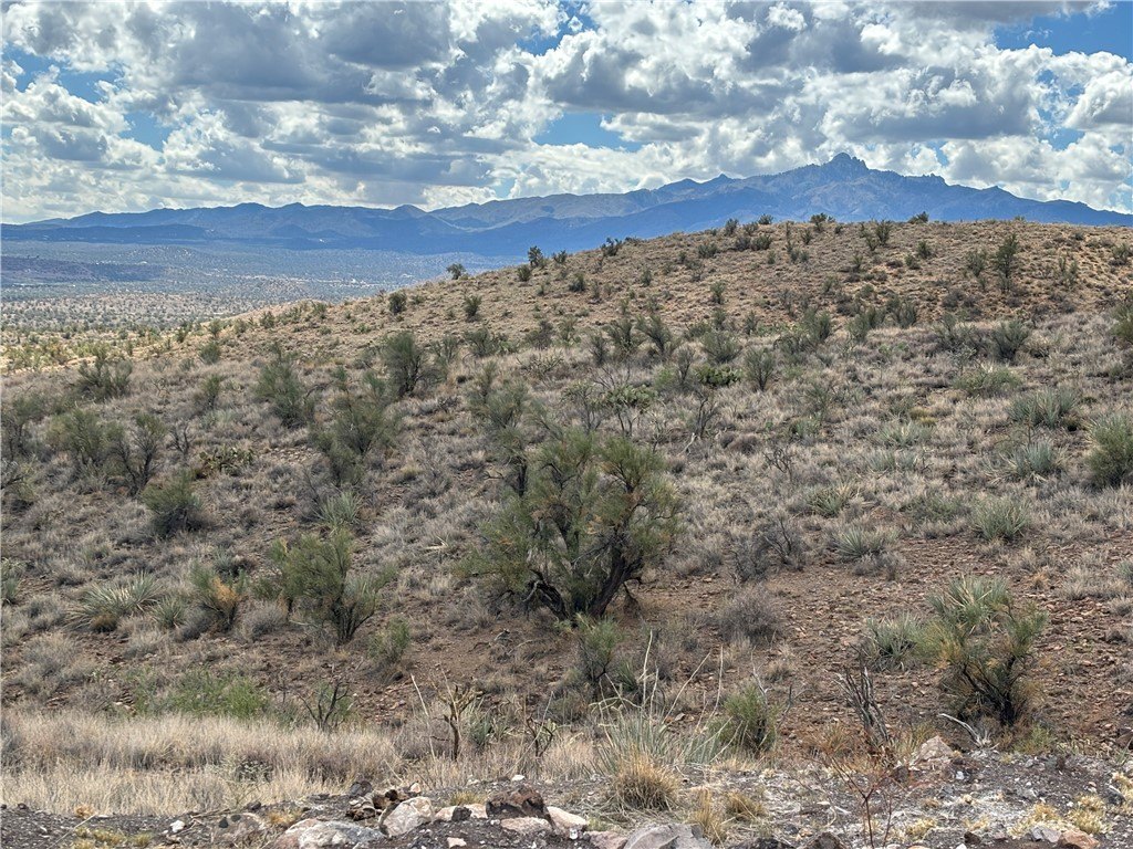 Picture 4