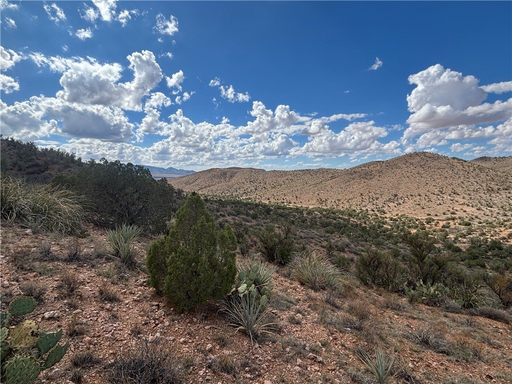 Picture 20