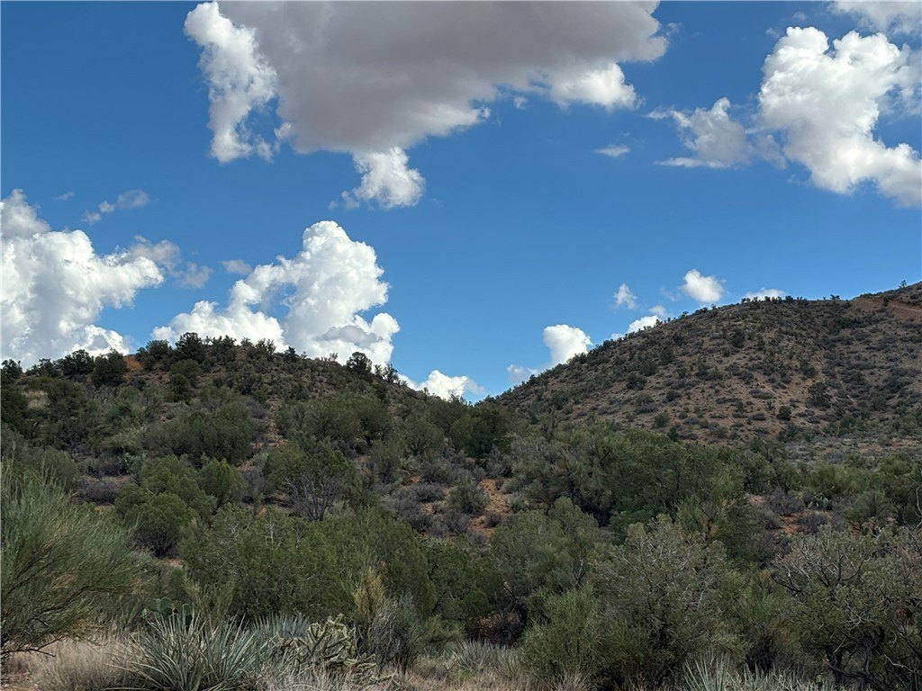 Picture 23