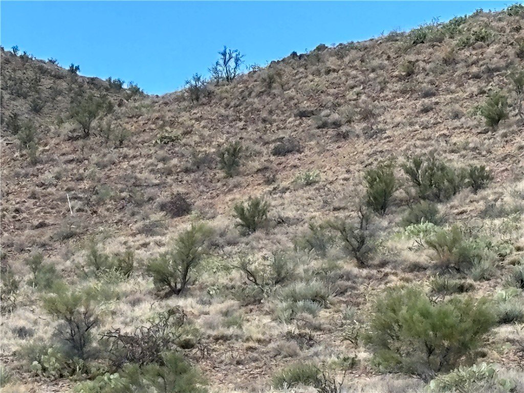Picture 5