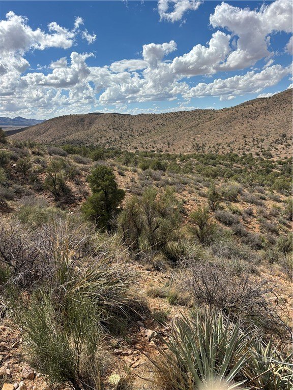 Picture 11